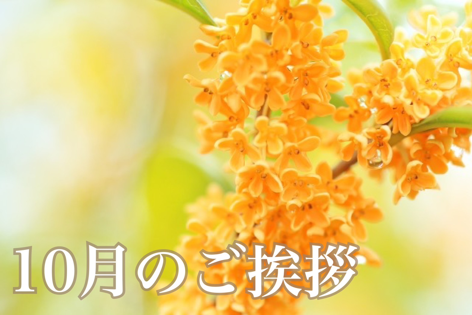 １０月のご挨拶