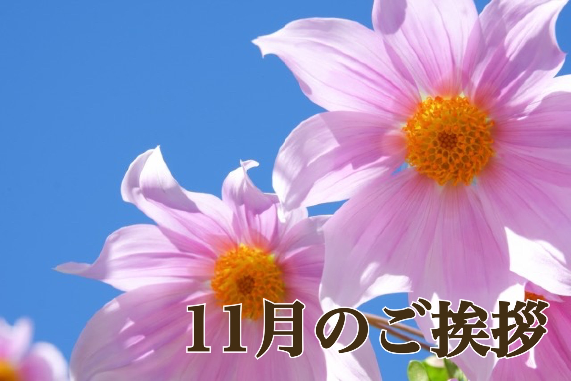 １１月のご挨拶