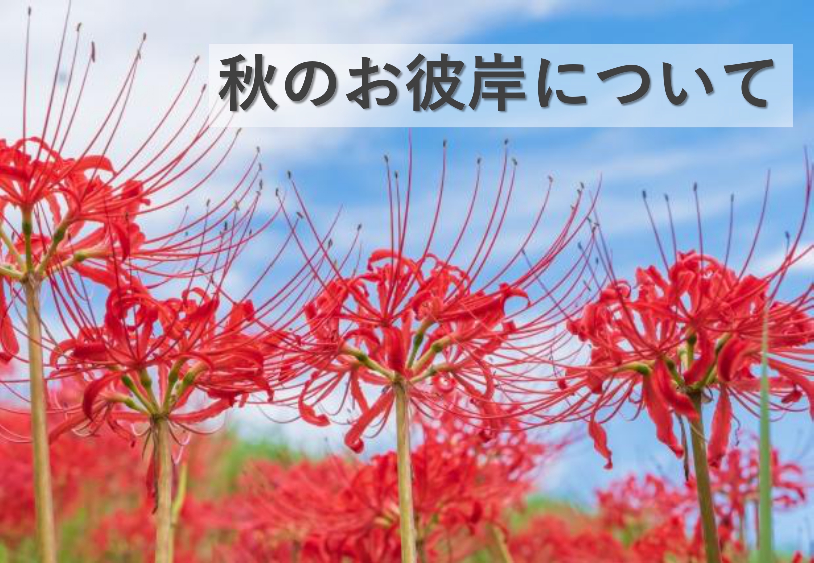 秋のお彼岸について
